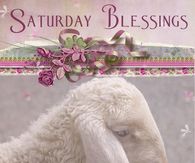 Saturday Blessings John 1:29