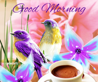 Vibrant Birds - Good Morning, Enjoy Your Wednesday