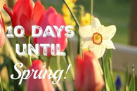 10 Days Until Spring