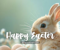 Baby Bunny Happy Easter Quote