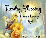 Romans 12:2 Tuesday Blessing Bible Verse