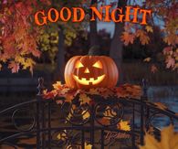 Good Night Jack O Lantern Quote