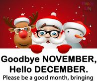 Goodbye November, Hello Devember