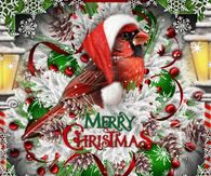 Merry Christmas Cardinal Gif