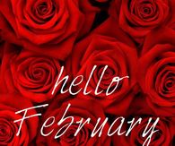 Red Rose Hello February Greeting