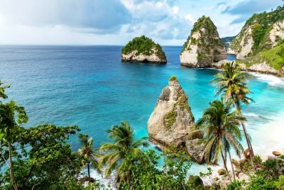 Beach with palm trees and turquoise ocean water