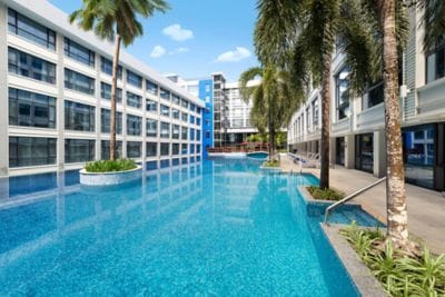 outdoor Swimming Pool, palm trees