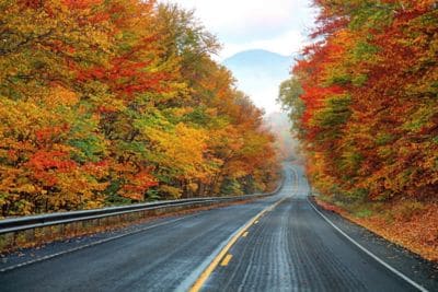 Autumn leaves along a New Hampshire highway