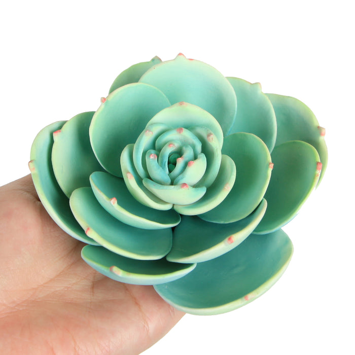 Gumpaste Succulent Sugarflower cake topper perfect for cake decorating fondant cakes & wedding cakes. | CaljavaOnline.com