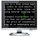 iZoom Screen Magnifier/Reader - Download Link with Serial Number