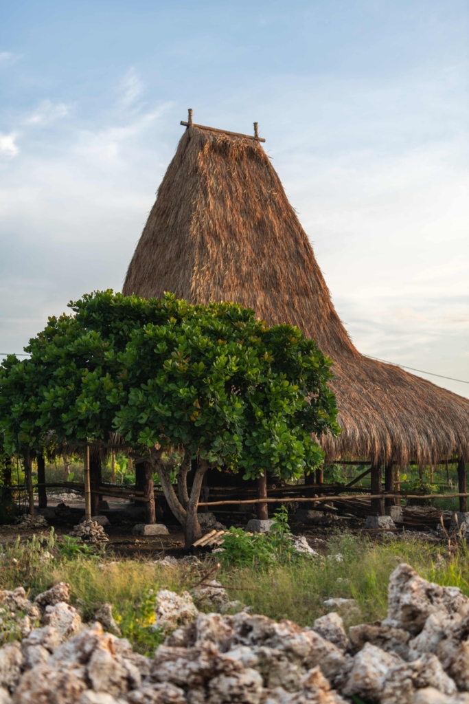 Roof of the farm's main building