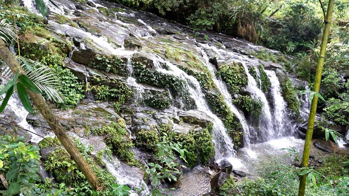 芬多精吸到飽！阿里山５條祕境步道：台版九寨溝、賞絕美雲海、壯觀蝙蝠洞