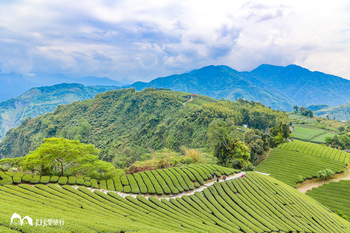 別只去阿里山！嘉義梅山12大祕境：最美茶園步道、台版九寨溝、海拔最高吊橋