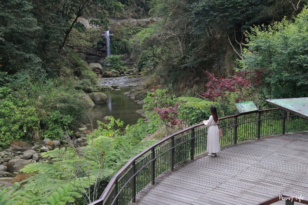 別只去阿里山！嘉義梅山12大祕境：最美茶園步道、台版九寨溝、海拔最高吊橋