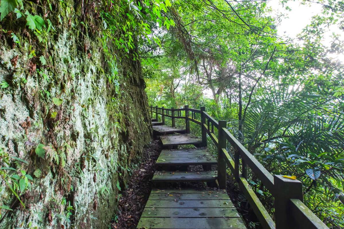 別只去阿里山！嘉義梅山12大祕境：最美茶園步道、台版九寨溝、海拔最高吊橋