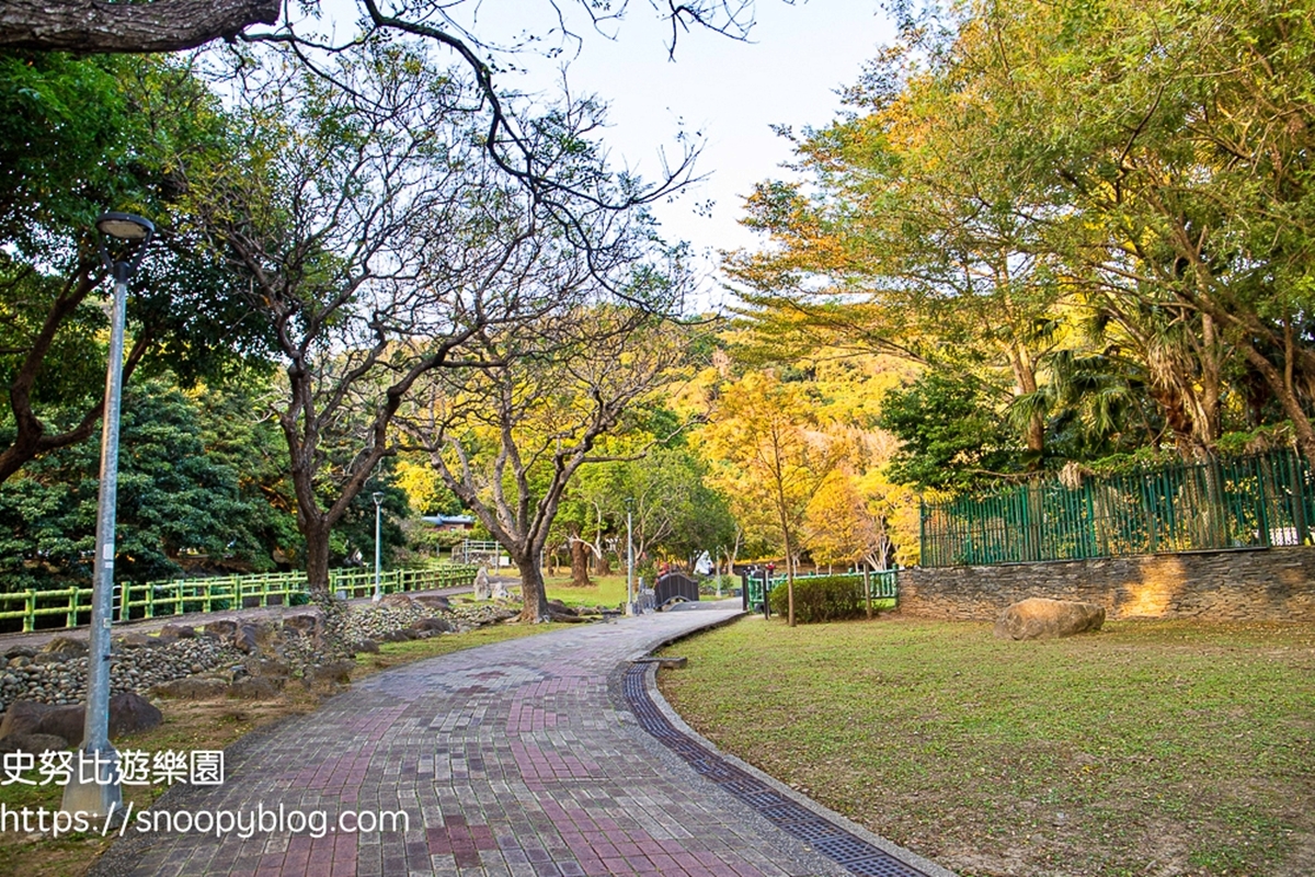 搭公車就能到！台北「落羽松祕境公園」藏身故宮旁，絕美湖畔倒映免費拍到飽