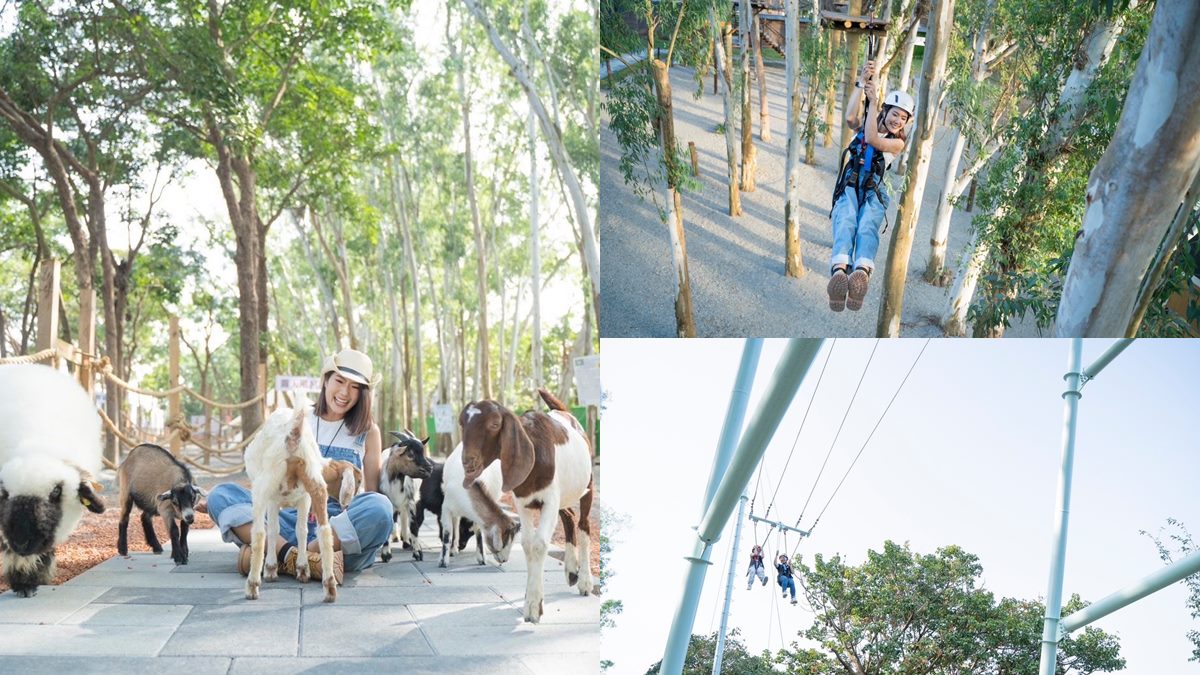 【新開店】嘉義最新「森林動物樂園」！餵軟萌笑笑羊、水豚，高空滑索超刺激