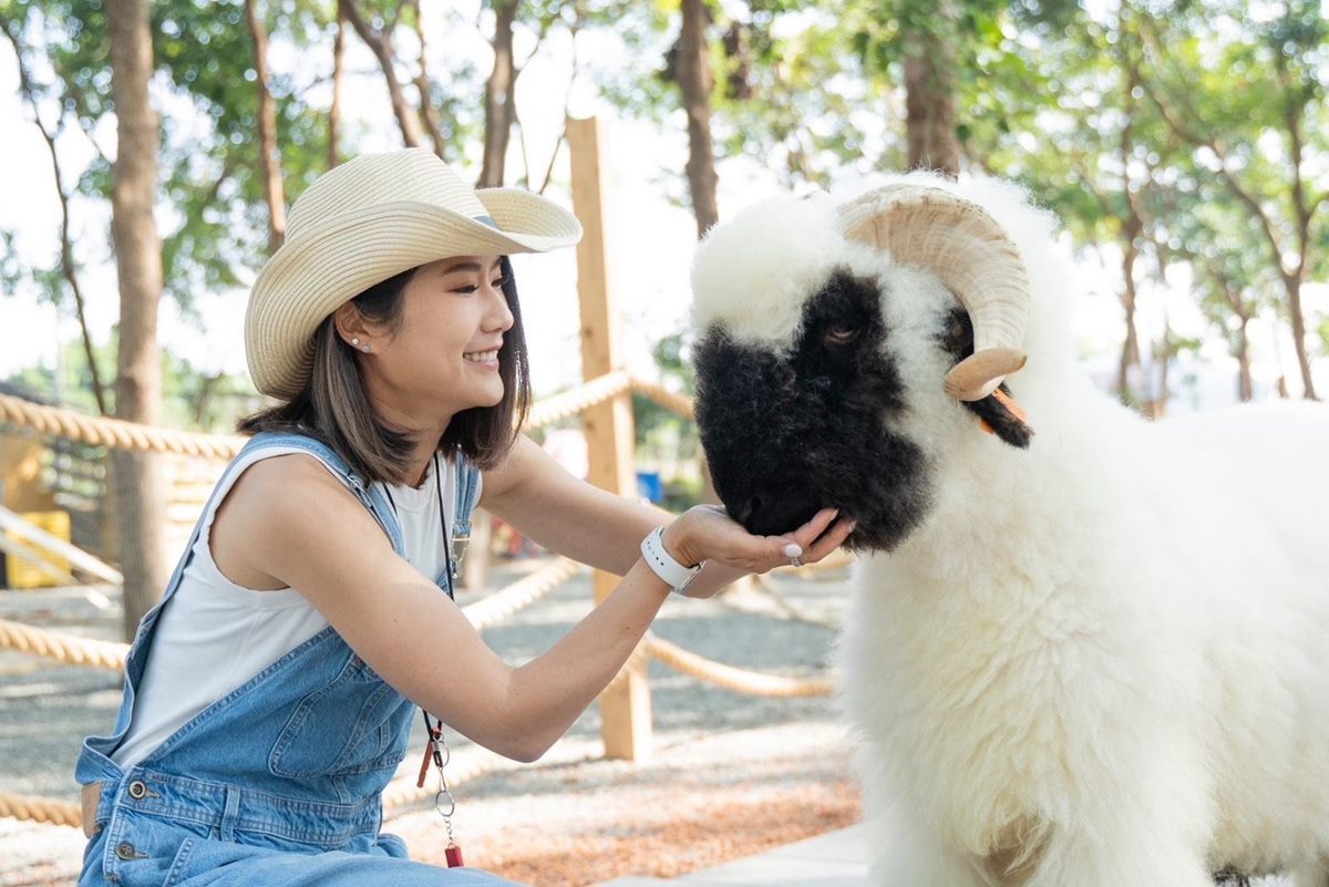 【新開店】嘉義最新「森林動物樂園」！餵軟萌笑笑羊、水豚，高空滑索超刺激