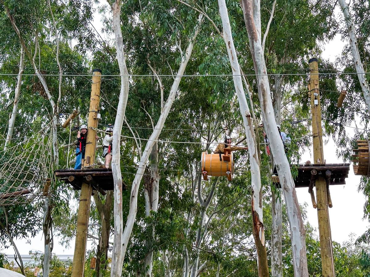 【新開店】嘉義最新「森林動物樂園」！餵軟萌笑笑羊、水豚，高空滑索超刺激