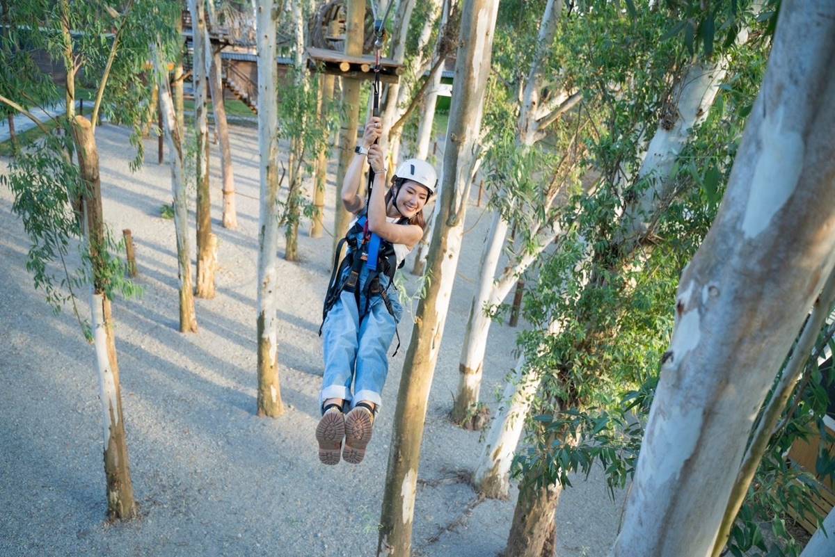 【新開店】嘉義最新「森林動物樂園」！餵軟萌笑笑羊、水豚，高空滑索超刺激