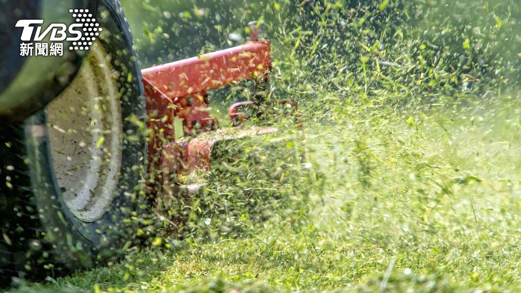 泰國男子偷懶用金屬刀片除草「意外自宮」身亡。（示意圖／Shutterstock達志影像）