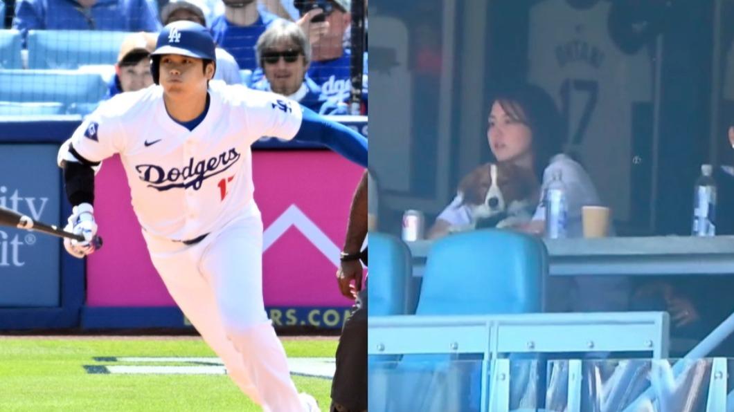 大谷翔平妻子田中真美子抱著愛犬Dekopin在場邊觀戰。（圖／達志影像美聯社、翻攝自東京體育）