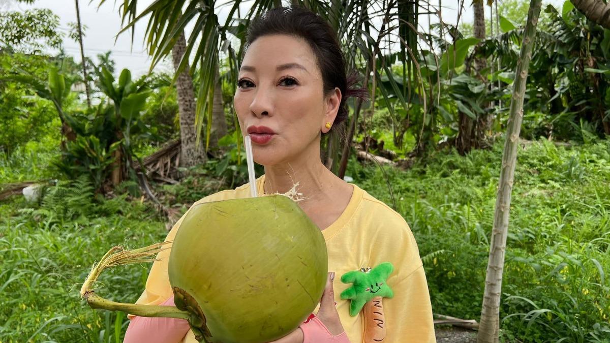 楊繡惠被詐騙集團氣到痛批：「真的沒政府了」。（圖／翻攝自楊繡惠臉書）