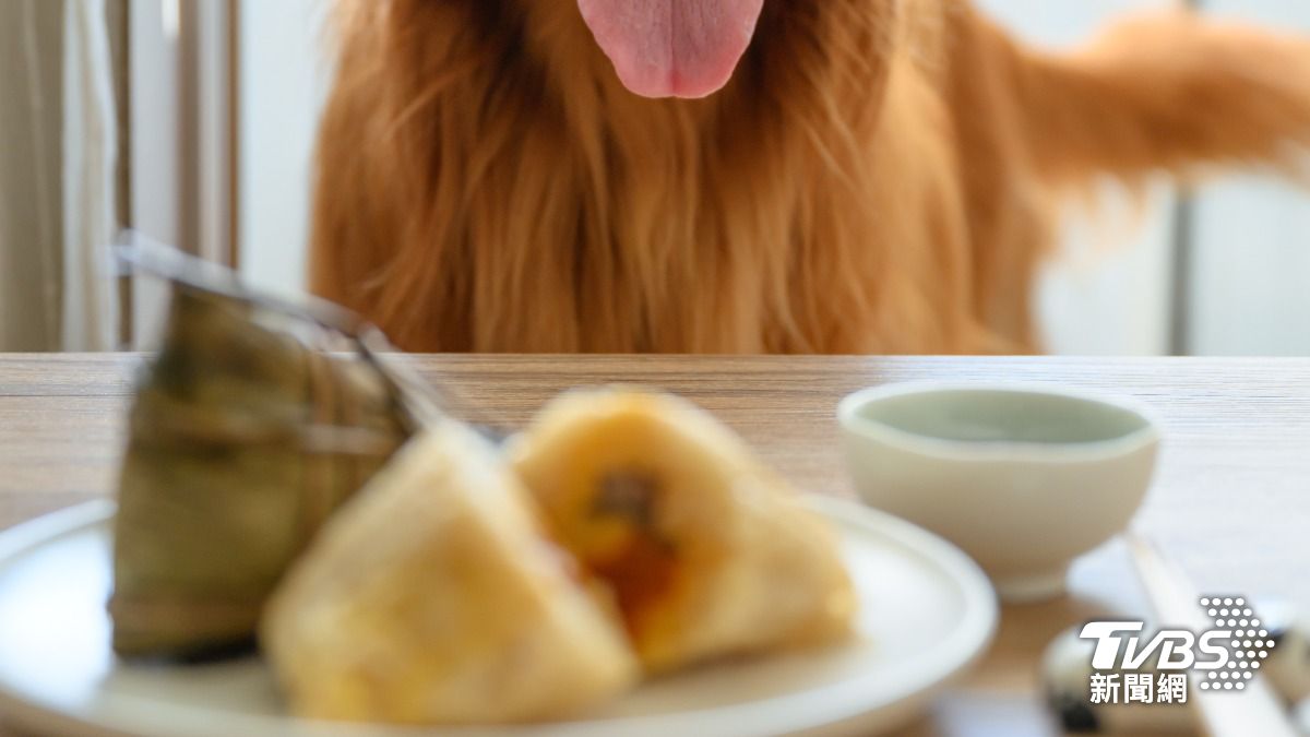 準備寵物粽子時，應避開動物的禁忌食材。（示意圖／shutterstock達志影像）