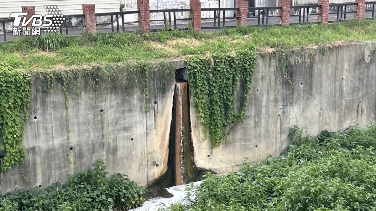 環保局研判因近日天氣炎熱，導致魚群缺氧死亡，是否有汙染情形則需進一步釐清。（圖／TVBS）