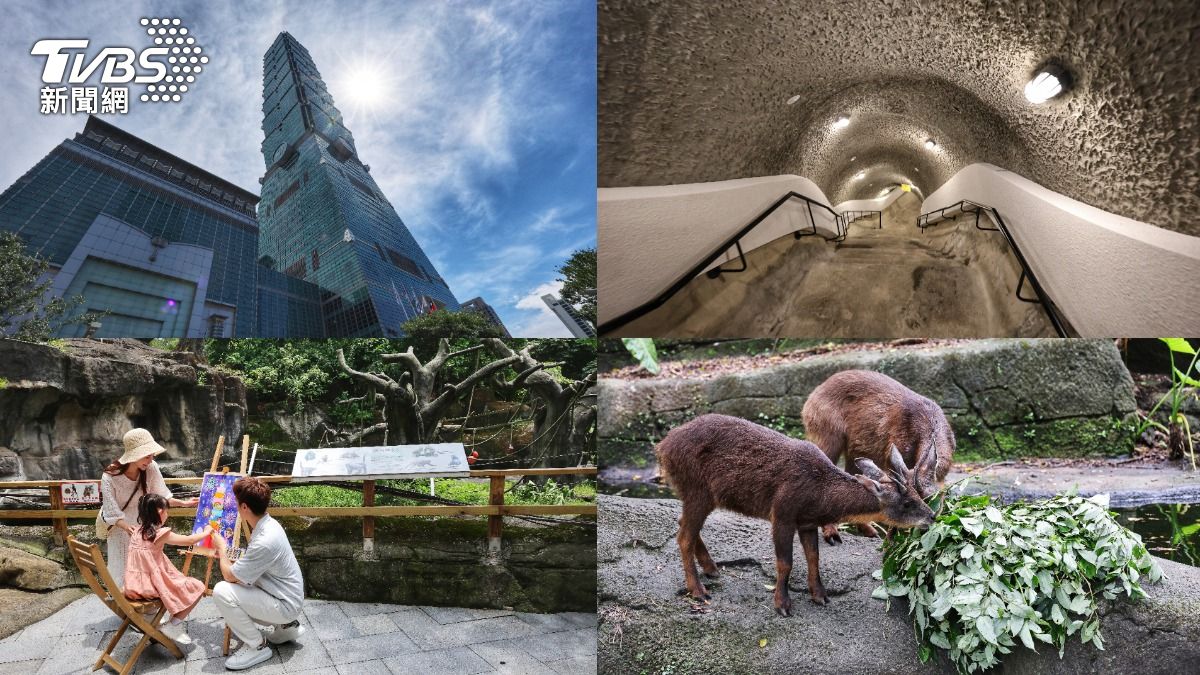 台北101與北市動物園、貓空纜車、圓山飯店首度合作推出暢玩「聯票」。（圖／葉志明攝）