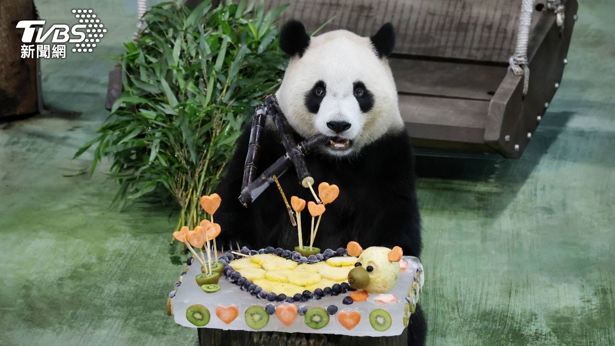 Taipei Zoo celebrates panda Yuan Bao’s 4th birthday