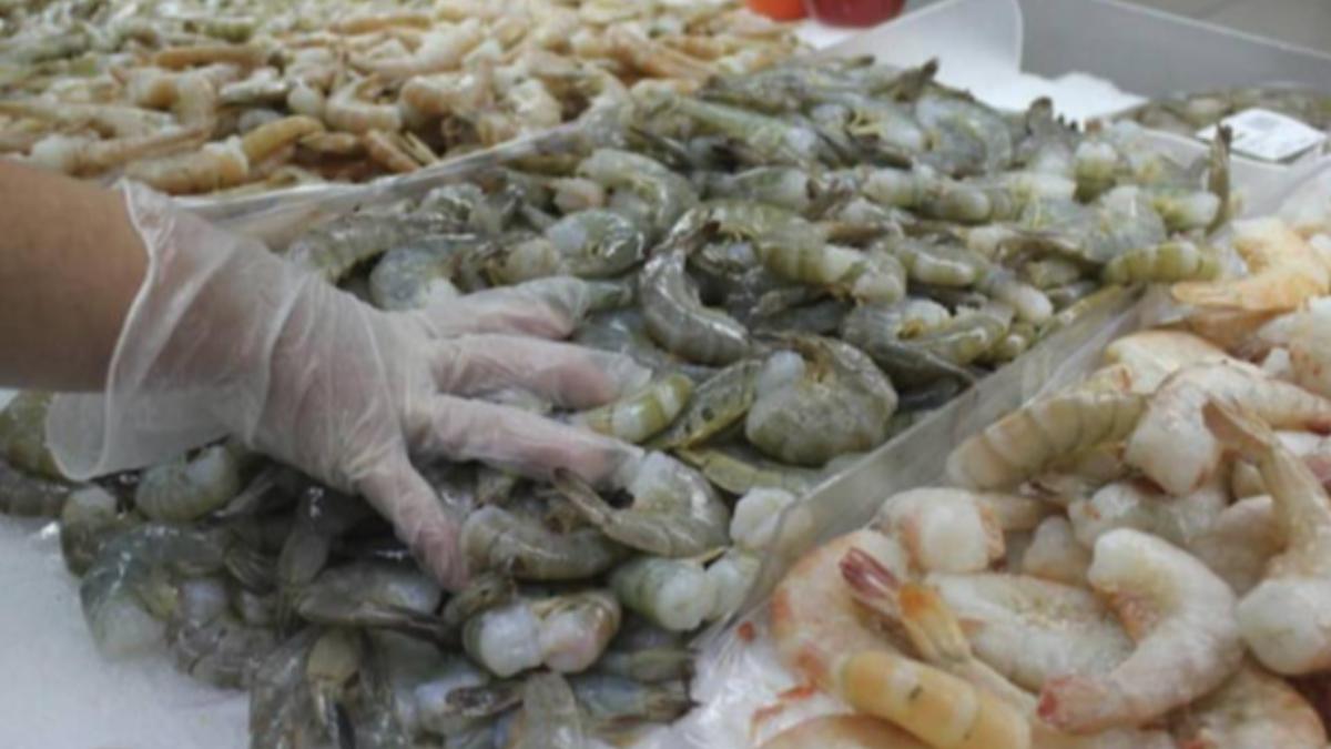 宏都拉斯2024上半年白蝦出口崩跌21%。（圖／翻攝自 El Heraldo）