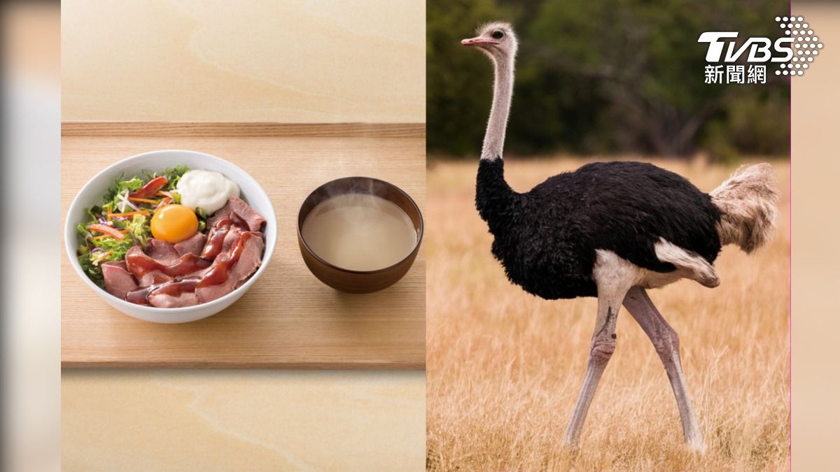 日本吉野家賣鴕鳥肉套餐。（圖左／翻攝自 吉野家官網，圖右／shutterstock 達志影像）