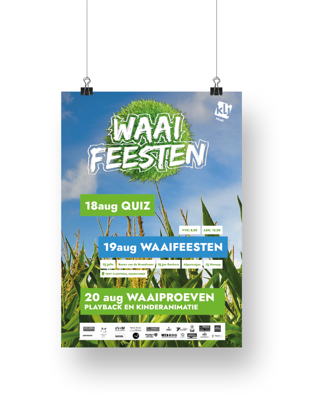 Ontwerp van affiche voor de Waaifeesten - Grafisch Design door Billie Branding