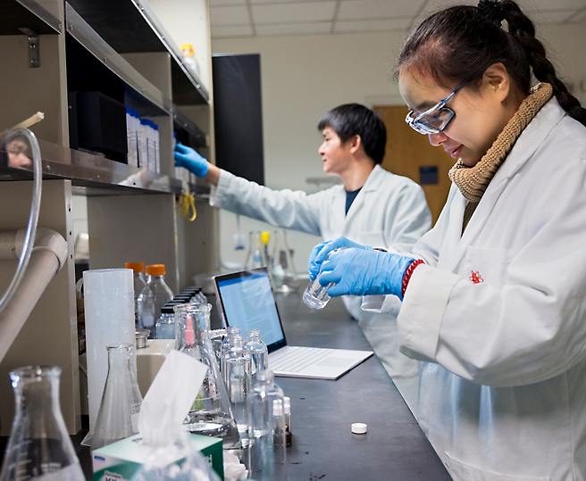 Dois cientistas a trabalhar num laboratório, manuseando equipamento experimental e amostras.