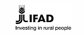 IFAD 標誌
