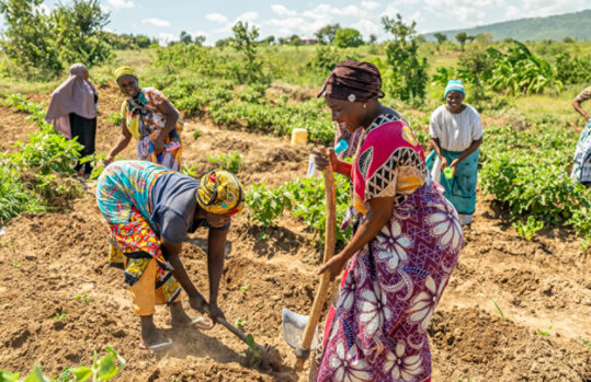 Women wearing brightly patterned garments working outdoors in a rural setting.