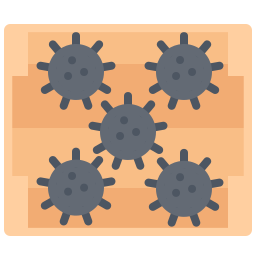 Sea urchin icon