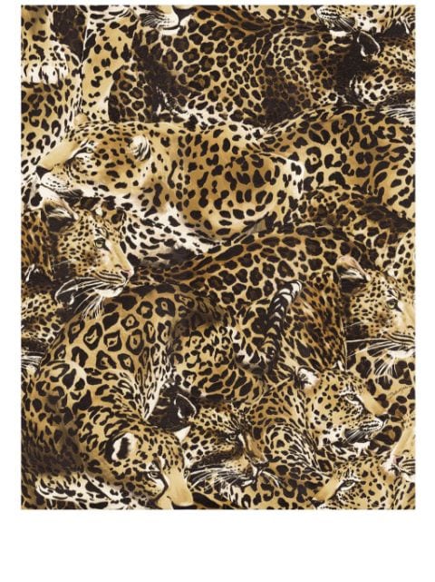 Dolce & Gabbana leopard-print wallpaper