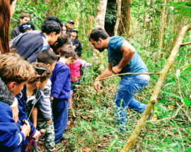 Título do post: Programao do Recreio nas Frias une lazer e educao ambiental em So Paulo