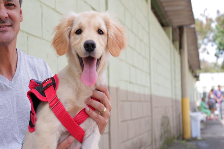 Foto de homem sorridente com filhote de cachorro no colo. O homem é branco,aparenta ter cerca de 40 anos e usa camiseta cinza. O filhote de cachorro tem pelo curto cor bege e usa um colete vermelho.