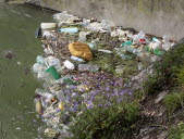 Canal du Rhône au Rhin : entre richesses naturelles et détritus