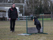 Un concours d’obéissance sur le terrain du club canin