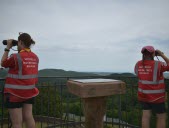 Les Scouts et guides de France ne quittent pas la forêt des yeux