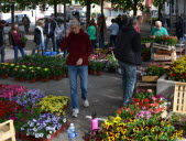 Le plein de fleurs, de légumes, et de replants