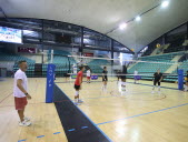 Les joueuses du Volley Mulhouse Alsace ont repris l'entraînement