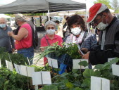 Joli succès populaire pour le marché du printemps