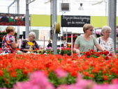 Les jardiniers à fond sur les plantations