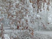 Décembre, un mois exceptionnellement doux et pluvieux