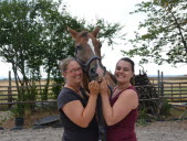 Des animaux et des hommes (3) : Tiffany et Cyrielle sont tombées sous le charme de Furst Klasse